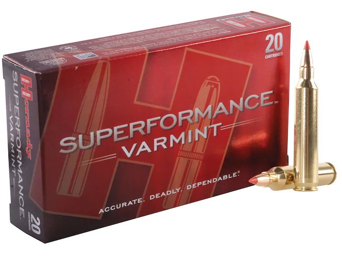 Hornady Superformance Varmint 204 Ruger Ammo 40 Grain Hornady V-Max Polymer Tip 500 Rounds