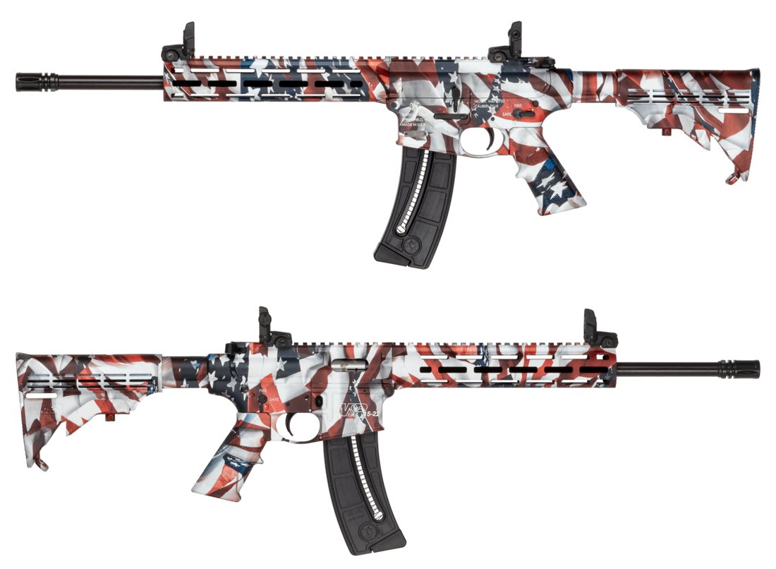 Smith & Wesson M&P 15-22 Sport Flag Finish – 250th Anniversary Edition - view 2